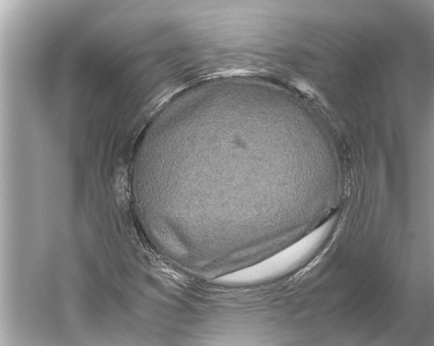 X0000059801353200511181503