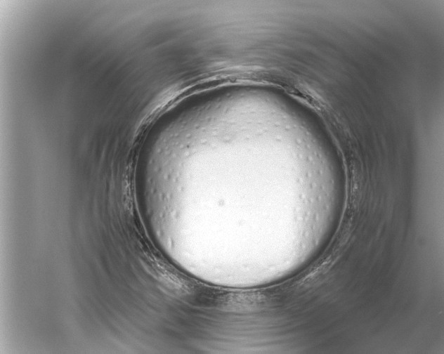 X0000059801354200511181503