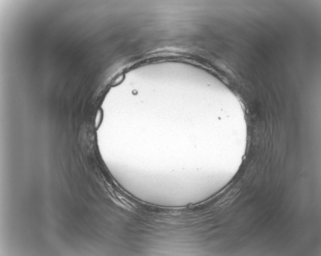 X0000059801355200511181503