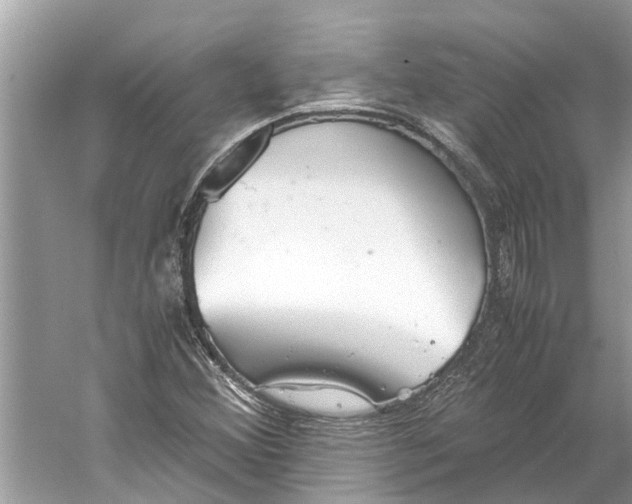 X0000059801356200511181503