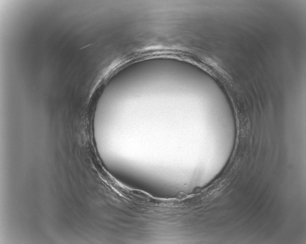 X0000059801357200511181503