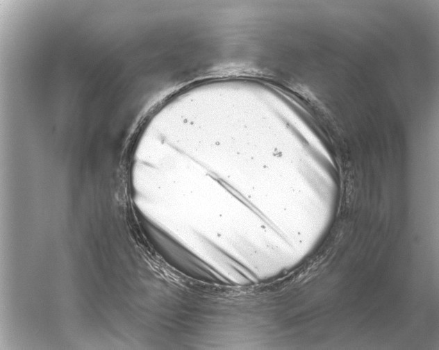 X0000059801358200511181503