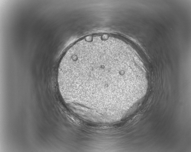 X0000059801359200511181503