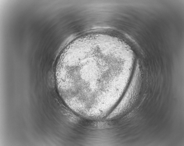 X0000059801362200511181503