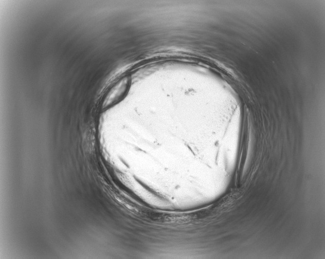 X0000059801363200511181503