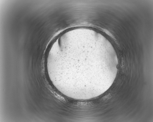 X0000059801364200511181503