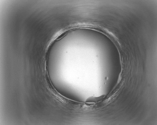 X0000059801365200511181503