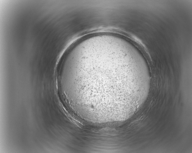 X0000059801368200511181503