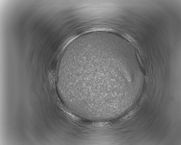 X0000059801369200511181503