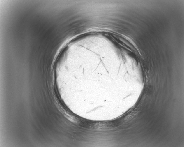 X0000059801371200511181503