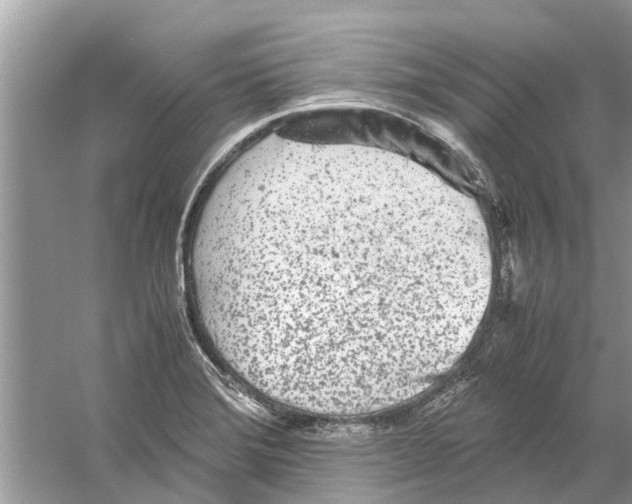 X0000059801372200511181503