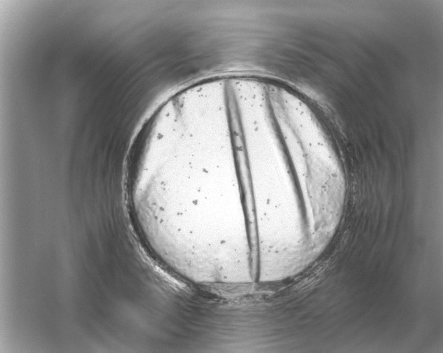 X0000059801374200511181503