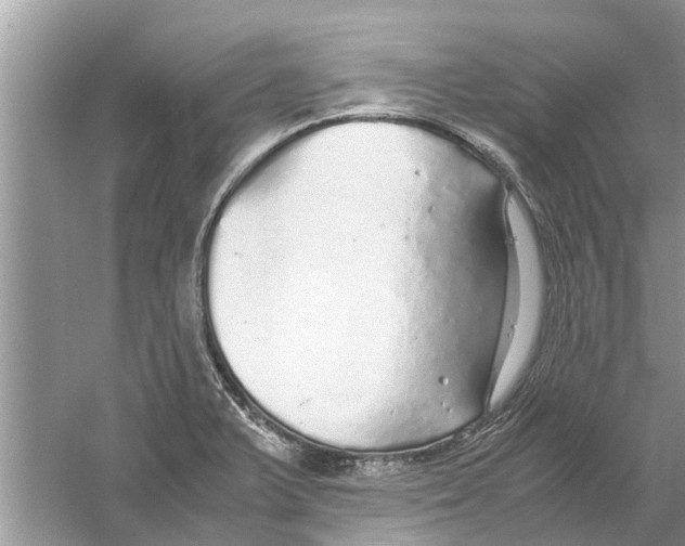 X0000059801375200511181503