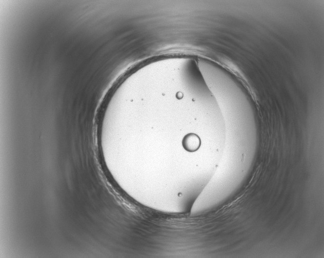 X0000059801376200511181503