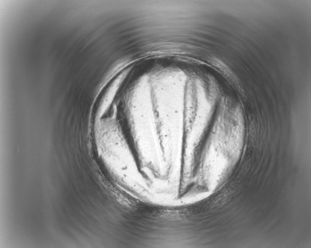 X0000059801378200511181503