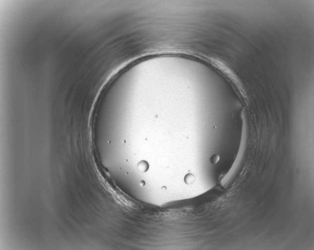 X0000059801380200511181503