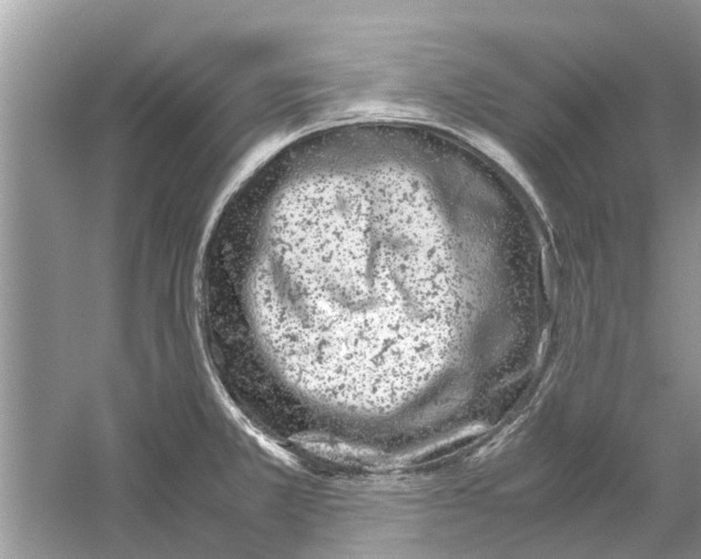 X0000059801381200511181503