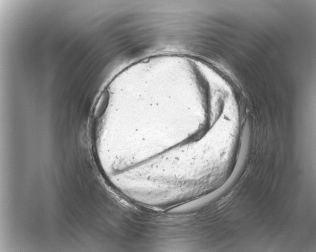 X0000059801382200511181503