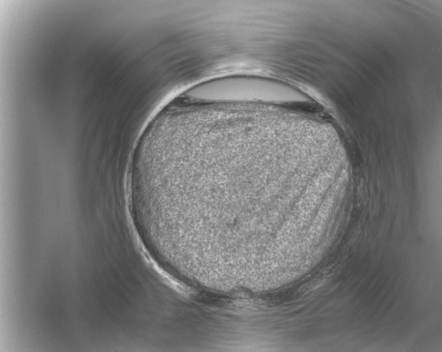 X0000059801383200511181503