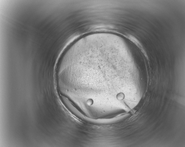 X0000059801384200511181503