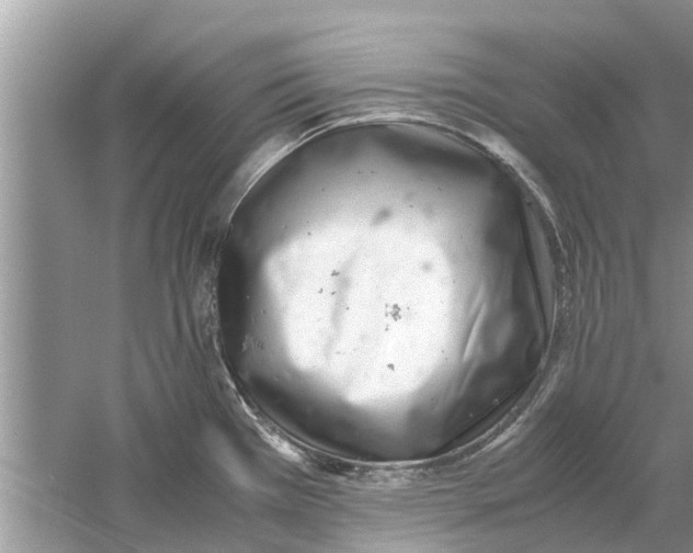 X0000059801385200511181503