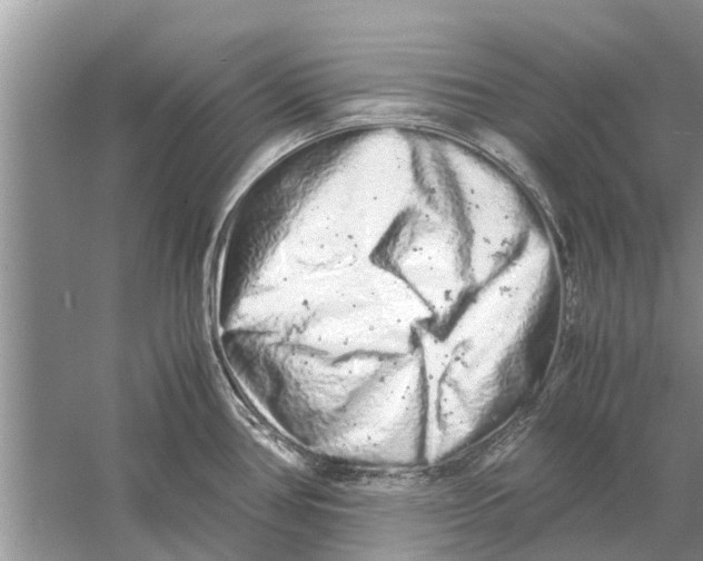 X0000059801386200511181503