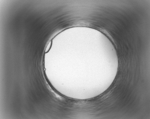 X0000059801387200511181503