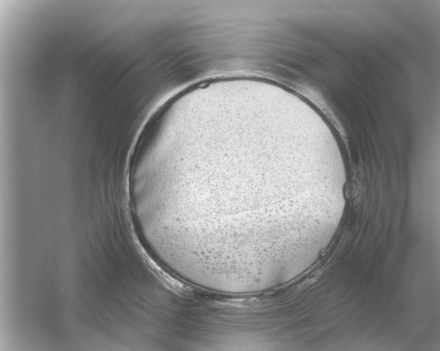 X0000059801388200511181503