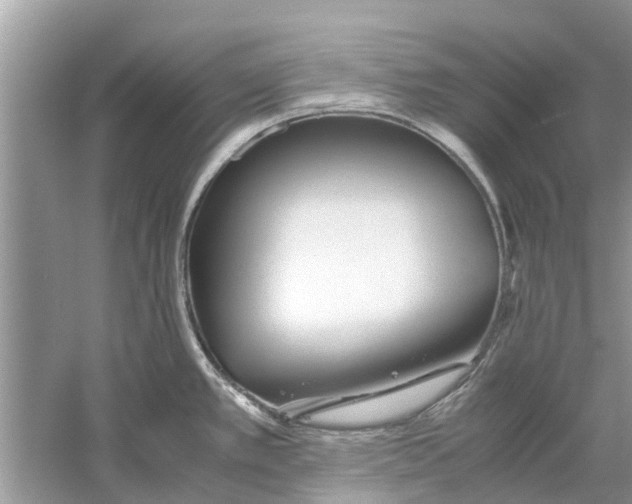 X0000059801389200511181503