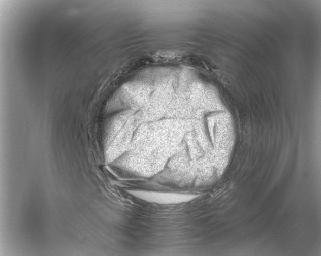 X0000059801393200511181502