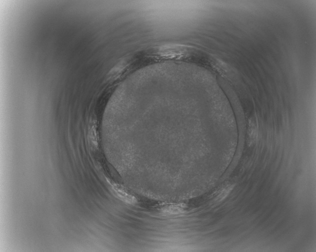 X0000059801394200511181502