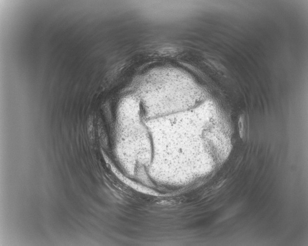 X0000059801395200511181502