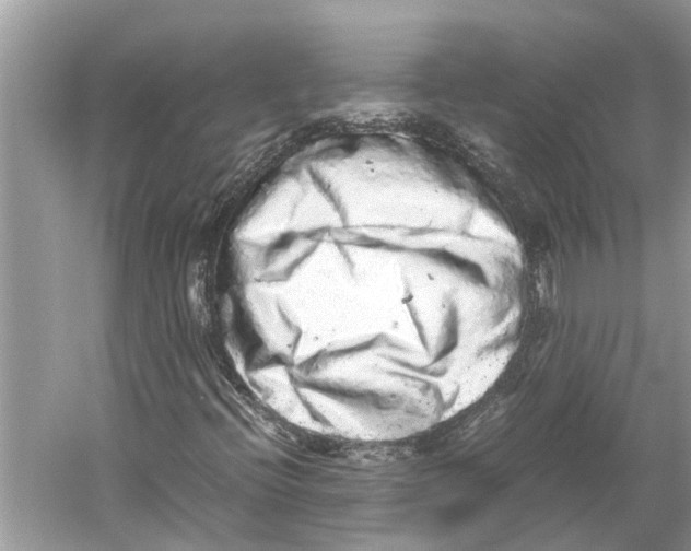 X0000059801396200511181502