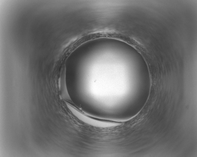 X0000059801398200511181502