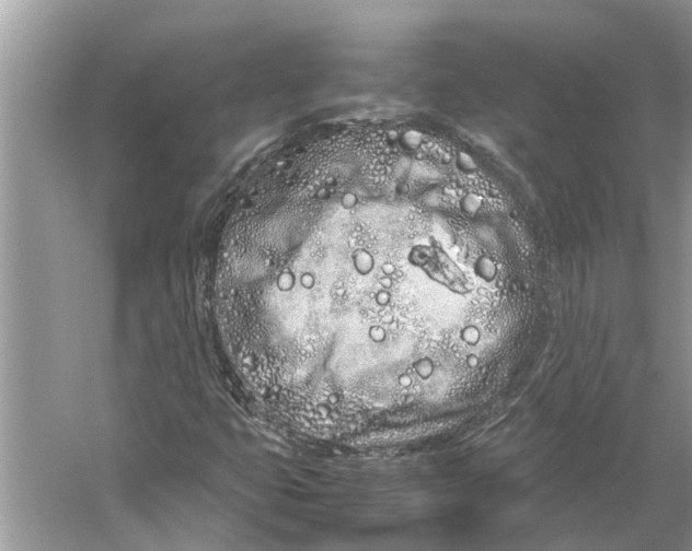 X0000059801399200511181502