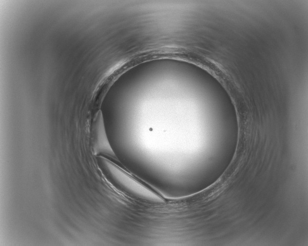 X0000059801402200511181502