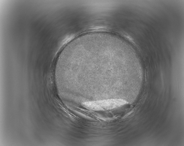 X0000059801405200511181502