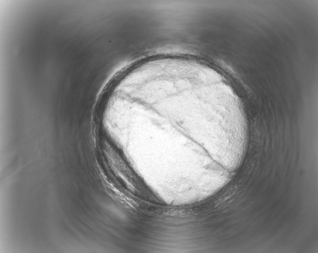 X0000059801408200511181502