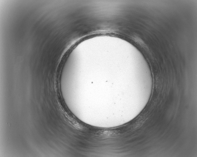 X0000059801412200511181502