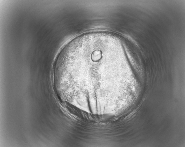 X0000059801413200511181502