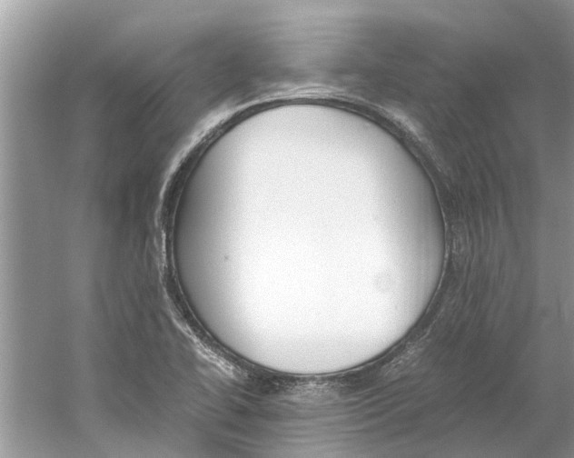 X0000059801414200511181502