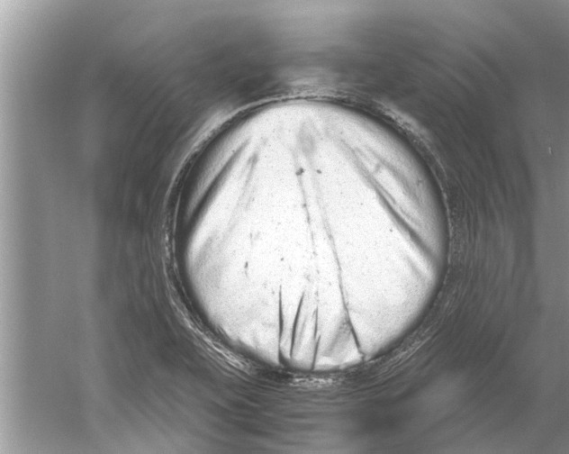 X0000059801415200511181502