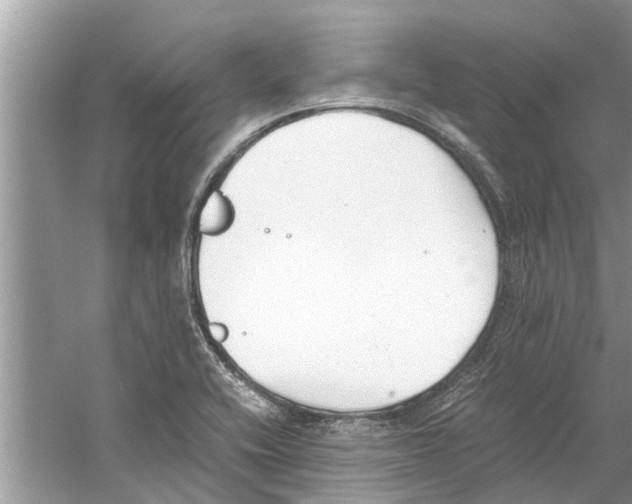 X0000059801416200511181502