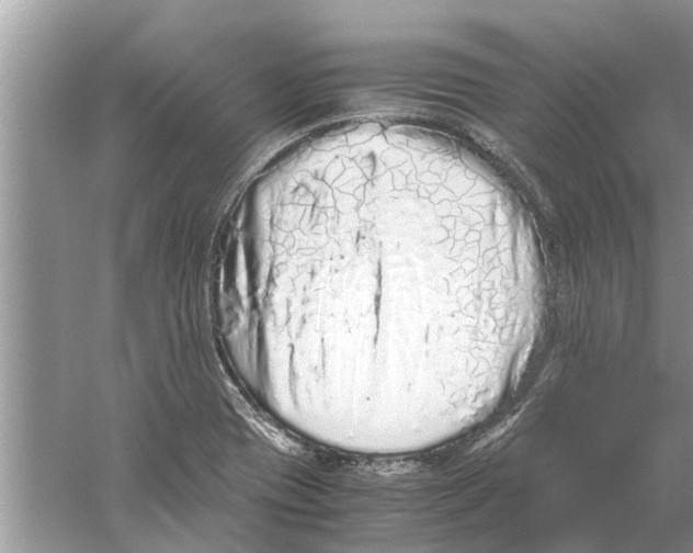 X0000059801417200511181502