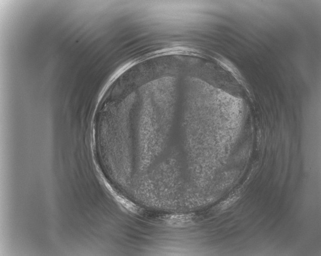 X0000059801418200511181502