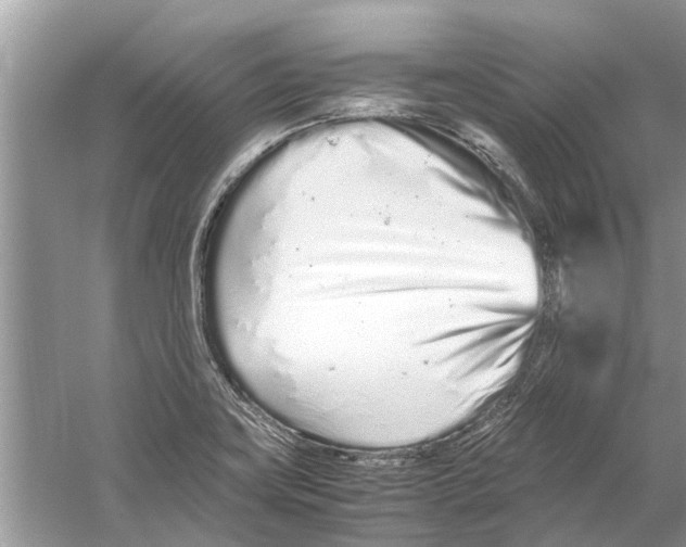 X0000059801419200511181502