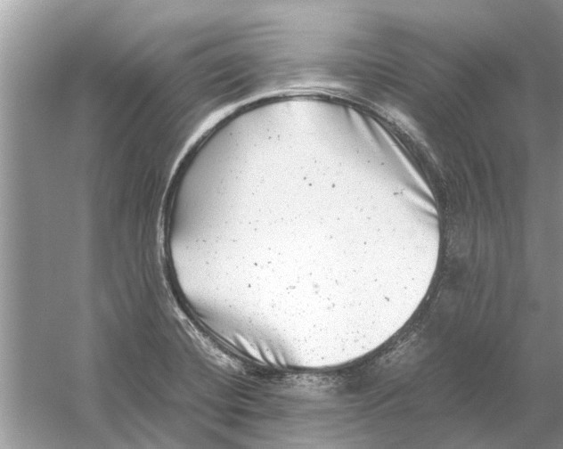 X0000059801420200511181502