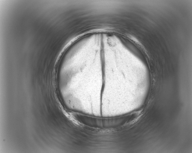 X0000059801421200511181502