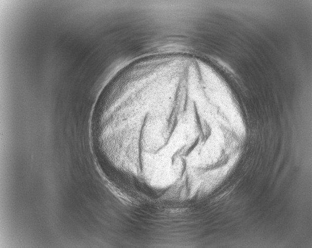 X0000059801423200511181502