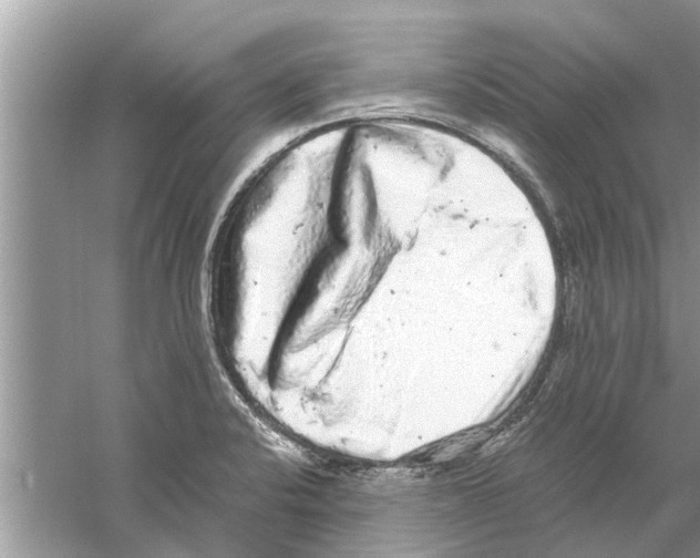 X0000059801424200511181502